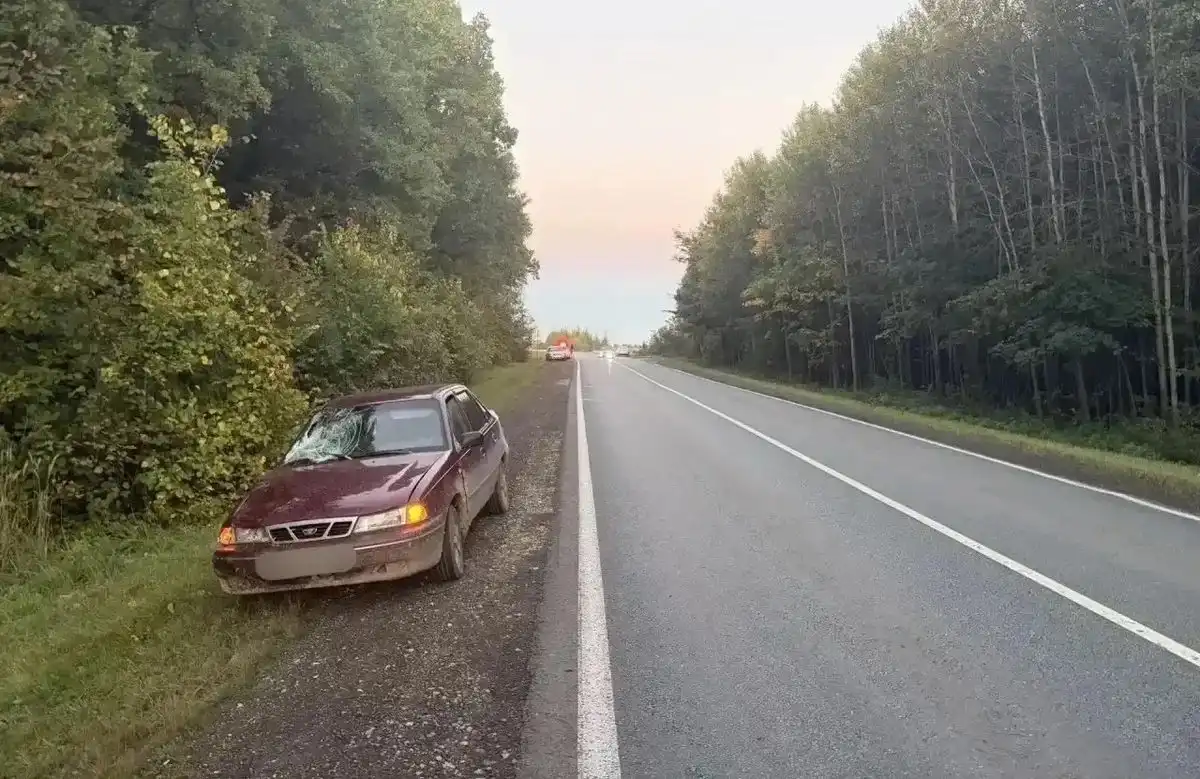 дэу нексиа