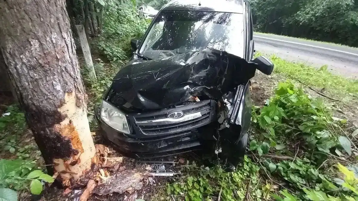 автомобиль врезался в дерево