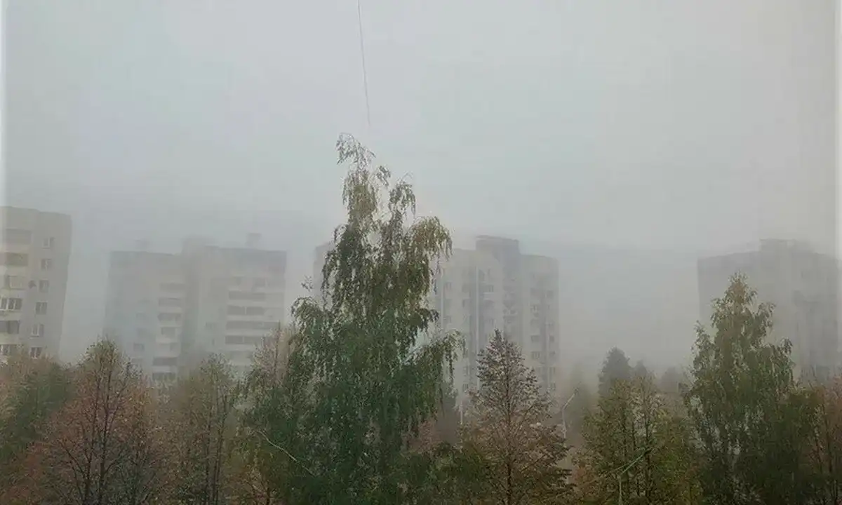 утренний туман осенью
