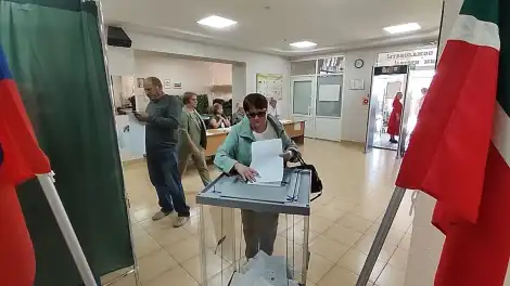 выборы в Шереметьевке