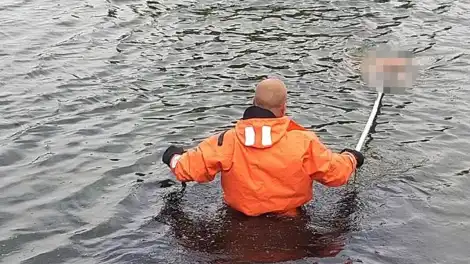 спасатель в воде ищет утонувшего