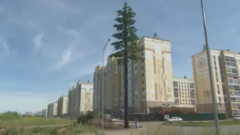 улица Табеева в Нижнекамске