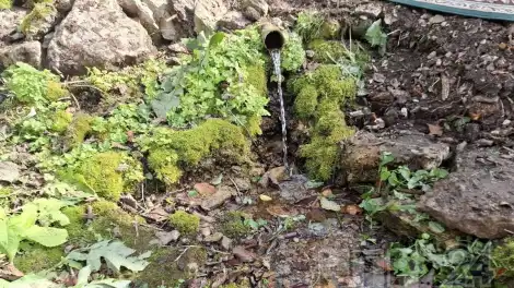 родник в селе Самоновка