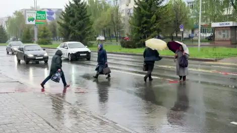 Люди укрываются от дождя под зонтами и переходят дорогу по регулируемому пешеходному переходу
