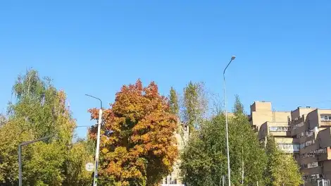 проспект Химиков в Нижнекамске осень сентябрь