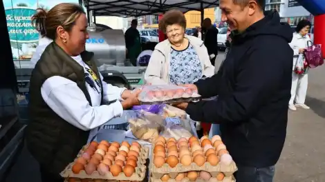 сельскохозяйственная ярмарка в Нижнекамске