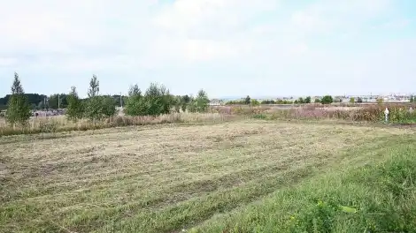 новый участок кладбища