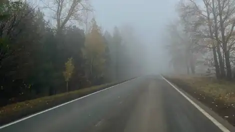 Дорога в лесу и туман