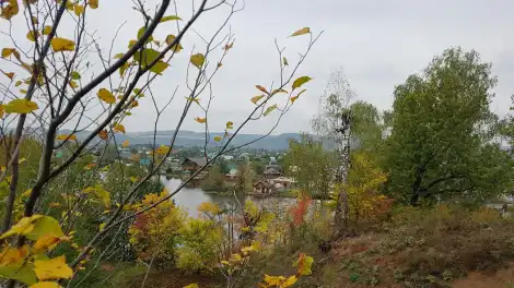 осенняя погода с пожелтевшими листьями на деревьях, дачный массив вдали