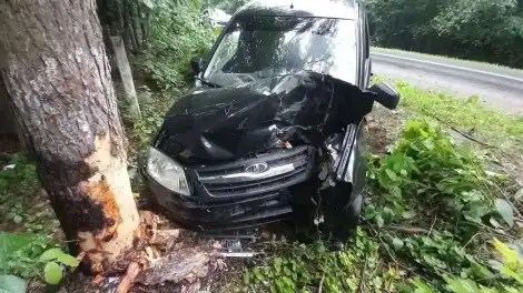 автомобиль врезался в дерево
