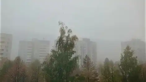 утренний туман осенью