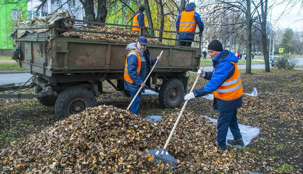 Субботник  в Нижнекамске осенью