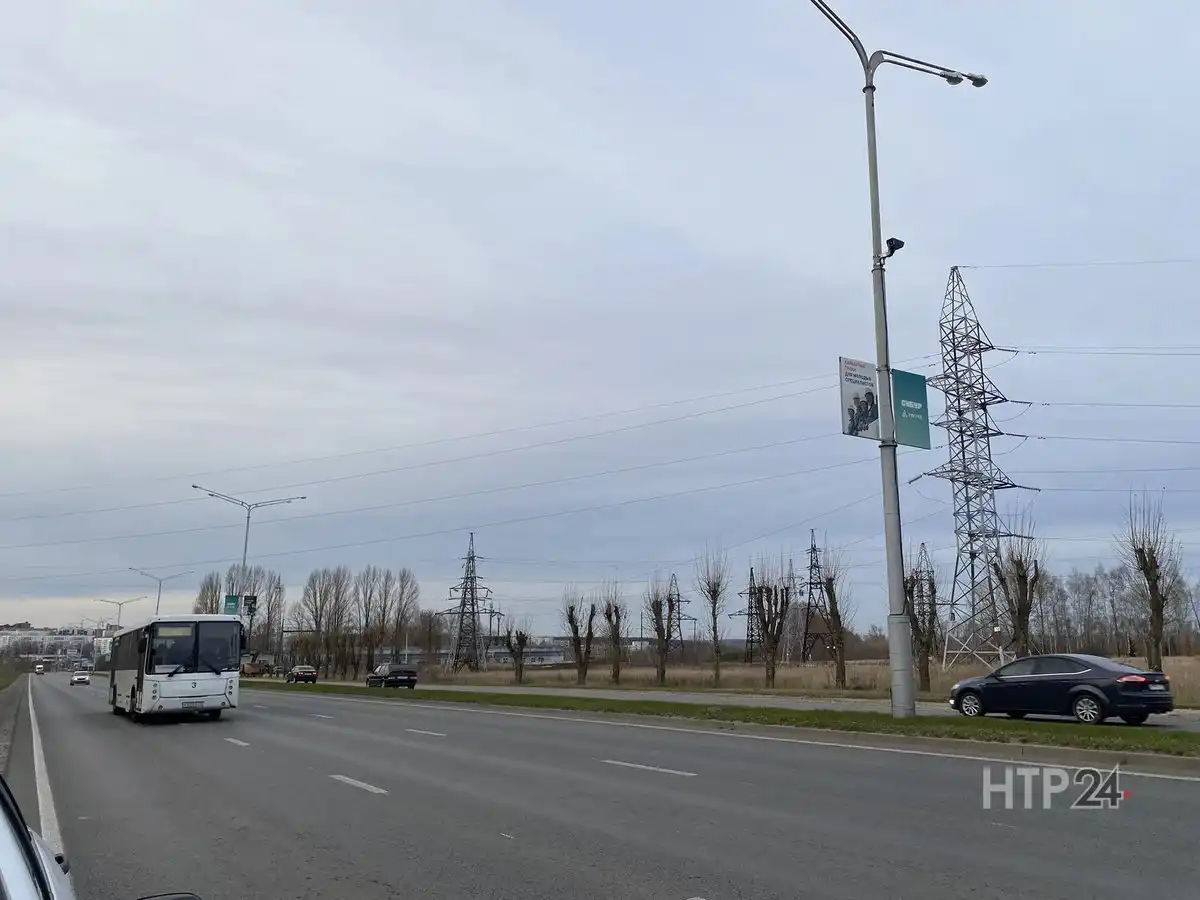 прибор для отпугивания диких животных