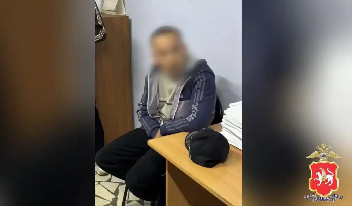 подозреваемый в кражах задержанный
