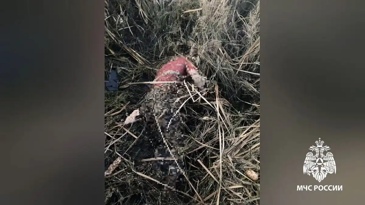 тело погибшего рыбака