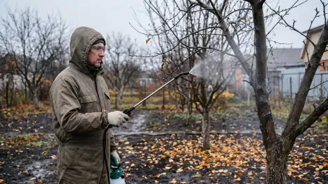 Садовод проводит искореняющую обработку сада в октябре