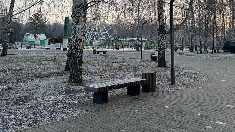 Иней после ночных заморозков осенью