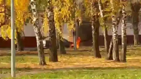 горит авто