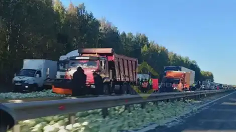 капуста на трассе ДТП 5 октября