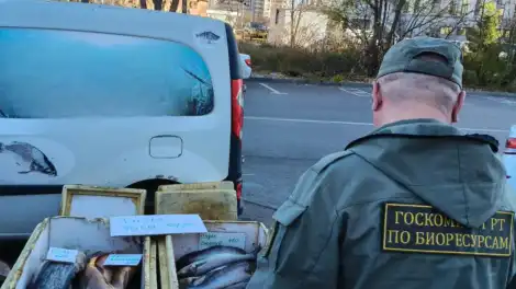 сотрудник госкомитета по биоресурсам РТ проверяет точки продажи речной рыбой