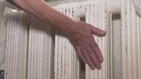 рука на батарее