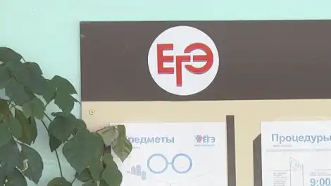 единый гос экзамен