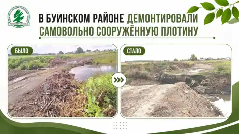плотина в Буинском районе  которую возвели самовольно