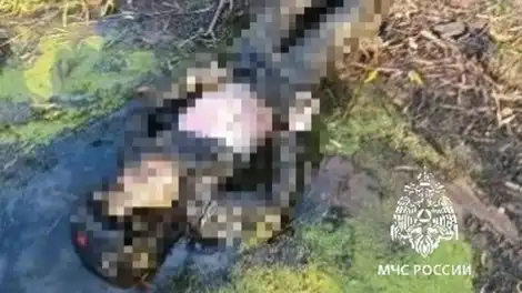 тело человека вытащенное из воды