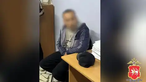 подозреваемый в кражах задержанный