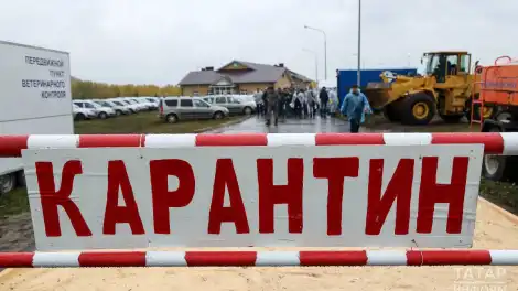 табличка "карантин"