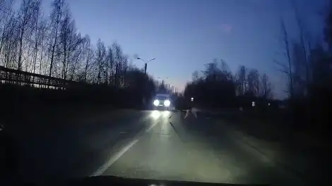 лось на дороге в промзоне Нижнекамска