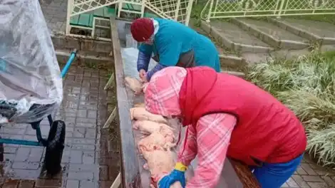 женщины села Кулмакса моют тушки уток в местном роднике